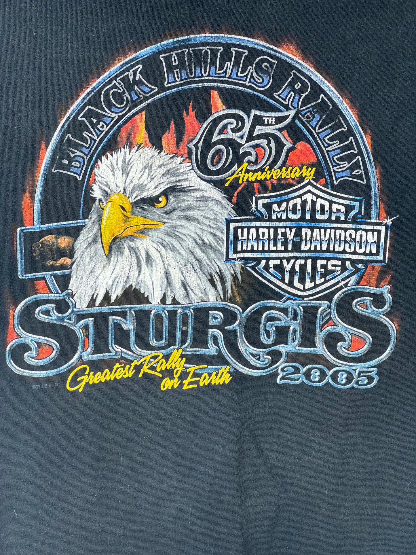 Vintage Made in USA Harley Davidson Sturgis 2005 Black Hills Rally 65th Anniversary T-shirt Men's Size XL